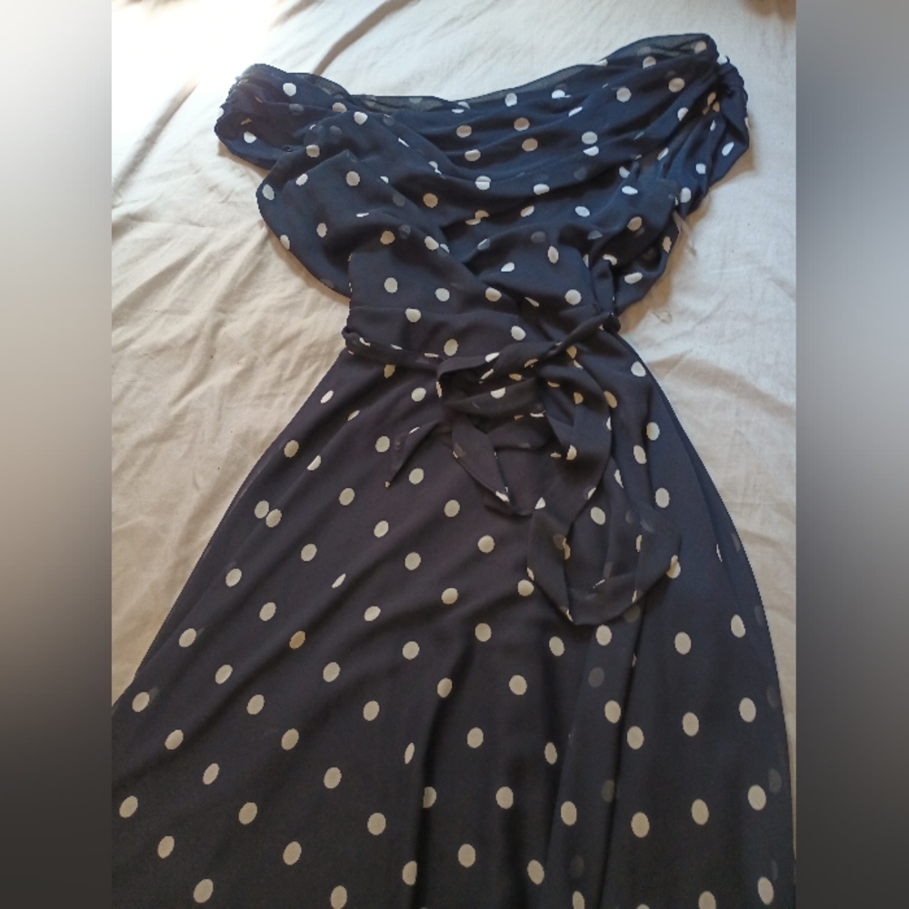 Established 1962 Blue dots dress